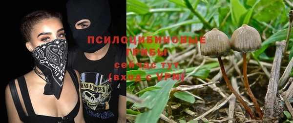 дживик Алексеевка