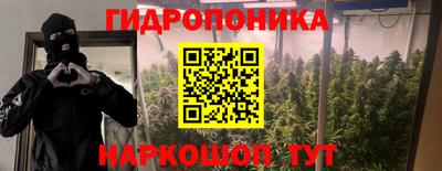 крисы Кумертау