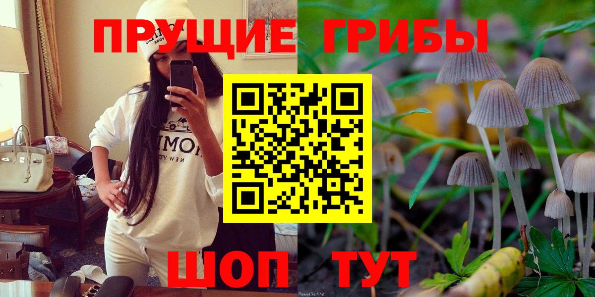 Йошкар-Ола  Псилоцибиновые грибы мухоморы  Вход с VPN 