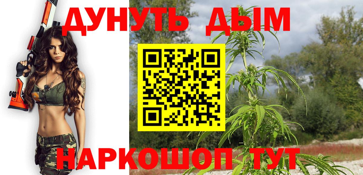 Бошки Шишки гибрид Йошкар-Ола
